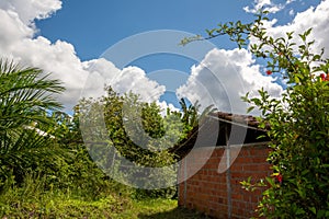 Facade of a pottery with a clay wall in Maragogipinho, Aratuipe district in Bahia photo