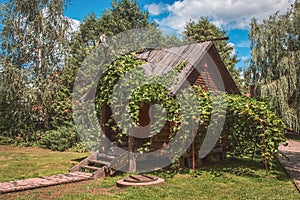 Facade of a small wooden house in a park covered with grapevine