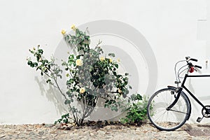 Facade of traditional house in the Island of Re decorated with colorful flowers and bicycle parket against wall