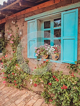 Facade of a traditional house with light blue shutters and ivy flowers in Ecuador