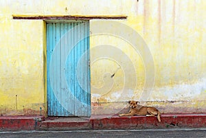 Facade with turquoise door and dog, Panajachel, Guatemala photo