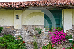 Facade view of country house with green window, flowers and vegetation