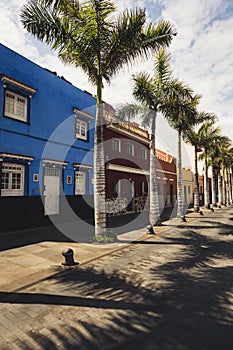 Facades of colourful houses and palm trees on typical canarian street, Puerto de La Cruz, Tenerife, Spain