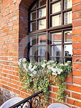 Facades and windows of buildings decorated with flowers