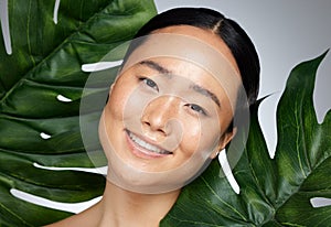 Face, beauty and asian woman with monstera leaf on gray studio background. A beautiful Japanese woman with healthy