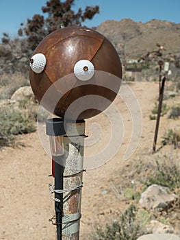 Face on a bowling ball, yard art