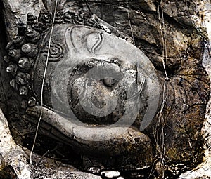 Face of budda statue