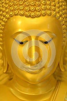 The face of Buddha