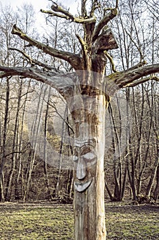Face carved in dead tree, Slovakia