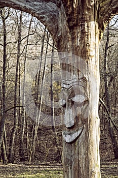 Face carved in dead tree, Slovakia