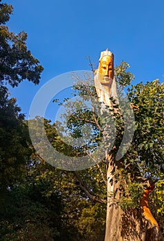 A face carved into a tree.