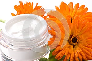 Face cream and calendula flower