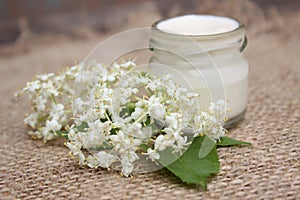 Face cream with chestnut flowers.Cosmetics.