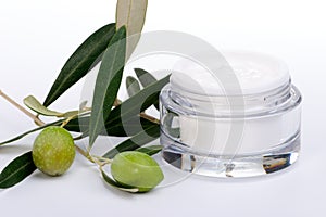 Face cream and olive twig