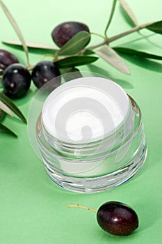 Face cream and olive twig