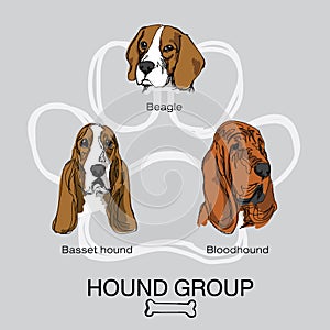 Face dog hound group pack1