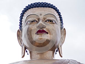 The Face of Giant Buddha Dordenma in Thimphu, Bhutan capital
