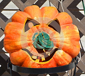 Face of Giant pumpkin is a gourd-like squash of the family Cucurbitaceae