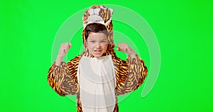 Face, green screen and boy flex, tiger costume and happiness against studio background. Portrait, male child and kid