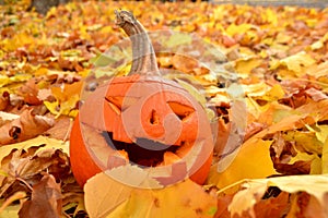 Face of halloween pumpkin