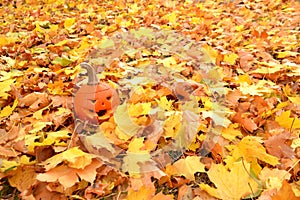 Face of halloween pumpkin