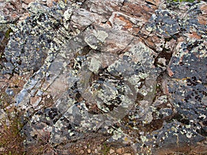 The Face of a Layered Mossy Covered Rock