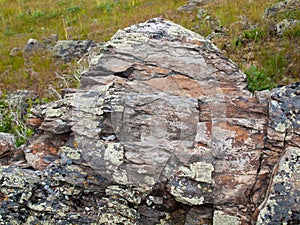 Face of a Layered Mossy Covered Rock