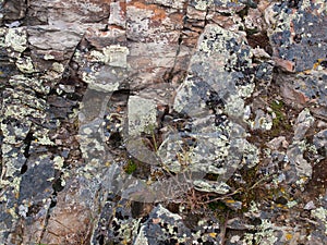 Face of a Layered Mossy Covered Rock