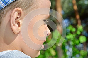 Face of a little boy on a background of trees