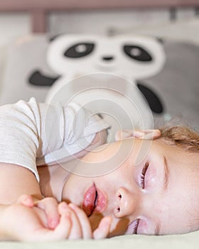Face of a little girl sleeping with a panda, vertical portrait. Baby girl boy Caucasian daytime sleep