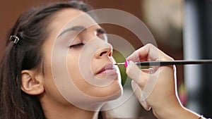 Face Makeup Making Lips Brush