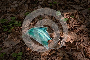 Face Mask laying on the ground in the forest