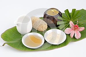 Face mask recipe with Tanaka, honey, water. Facial spa.