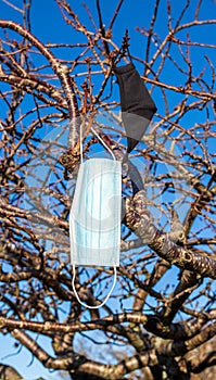 Face Mask On A Wnter Tree