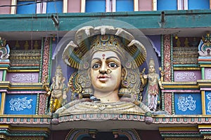 Face of the Mother Durga