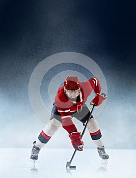 Face-off. Professional ice hockey player in action on white blue snow backgound. Winter sports, competitions, energy