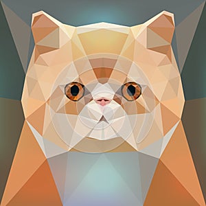 Face of a red Persian cat