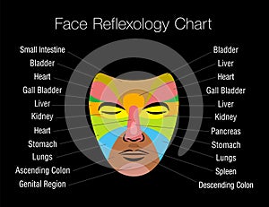 Face Reflexology Chart Internal Organs Mapping Areas Body Parts Black photo