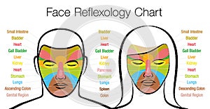 Face Reflexology Man Woman Chart Inner Organs Massage Areas Body Parts