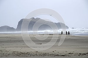 Face Rock Beach Bandon Oregon