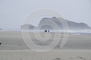 Face Rock Beach Bandon Oregon