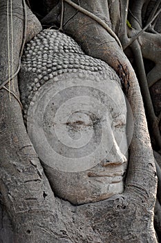 Face of Ruin image of Buddha