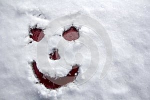 Face scary smiling smiley drawn on white snow, frosty winter day. Close-up.