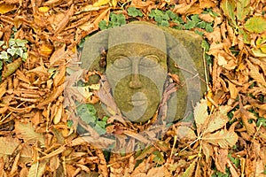 Face sculpture in leaves.