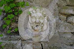 Face shaped fountain in the ancient rock wall close-up across the green plants