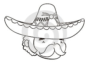 Face of short man -or chaparro- with big mariachi hat in outlines, Vector illustration photo