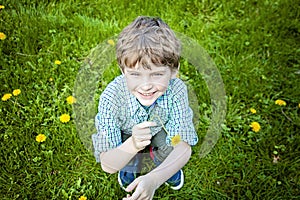 Face of smiling happy boy outside picking flowers