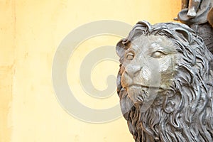 Face of steel lion statue