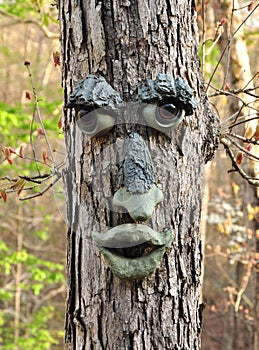 Face tree