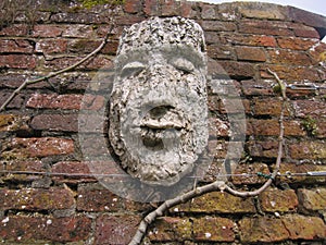 Face On A Wall